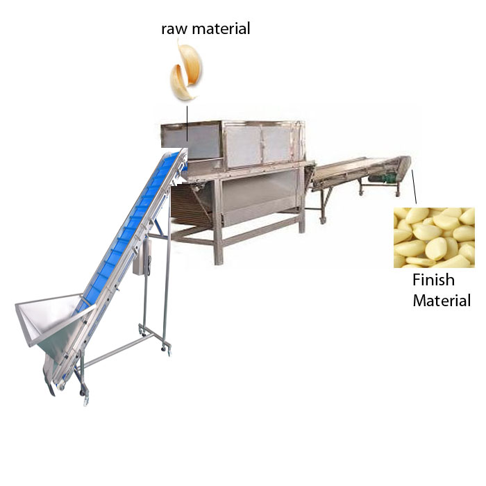 Garlic machine manufacturer