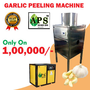 garlic peeling machine